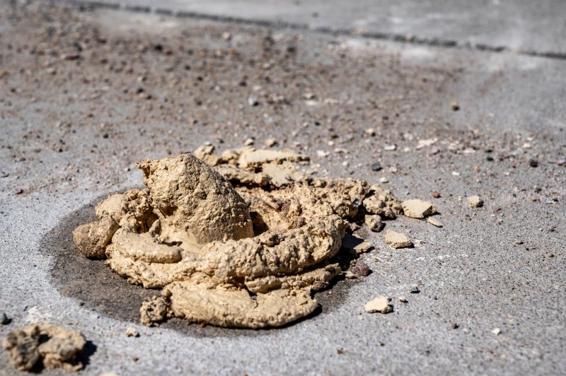 Top Foundation Repair Companies in Shakopee, MN